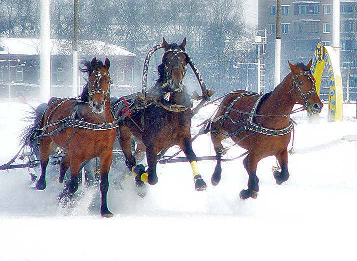 Тройка