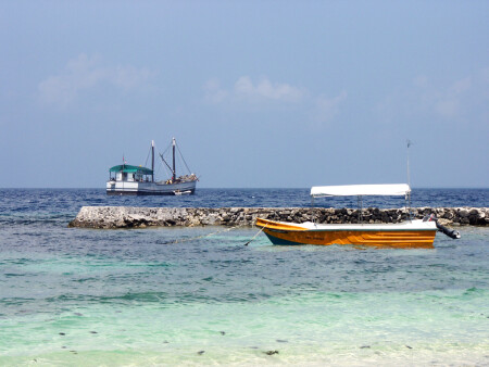 Ocean Ships
