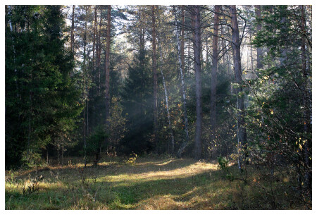 Осенняя картинка