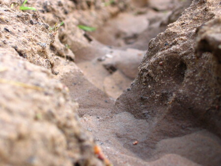 Песчаный карьер