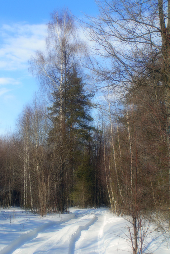 Февраль 2006