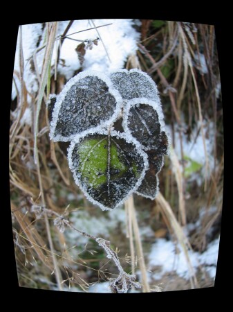 Природная кайма