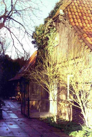 Старый дом
