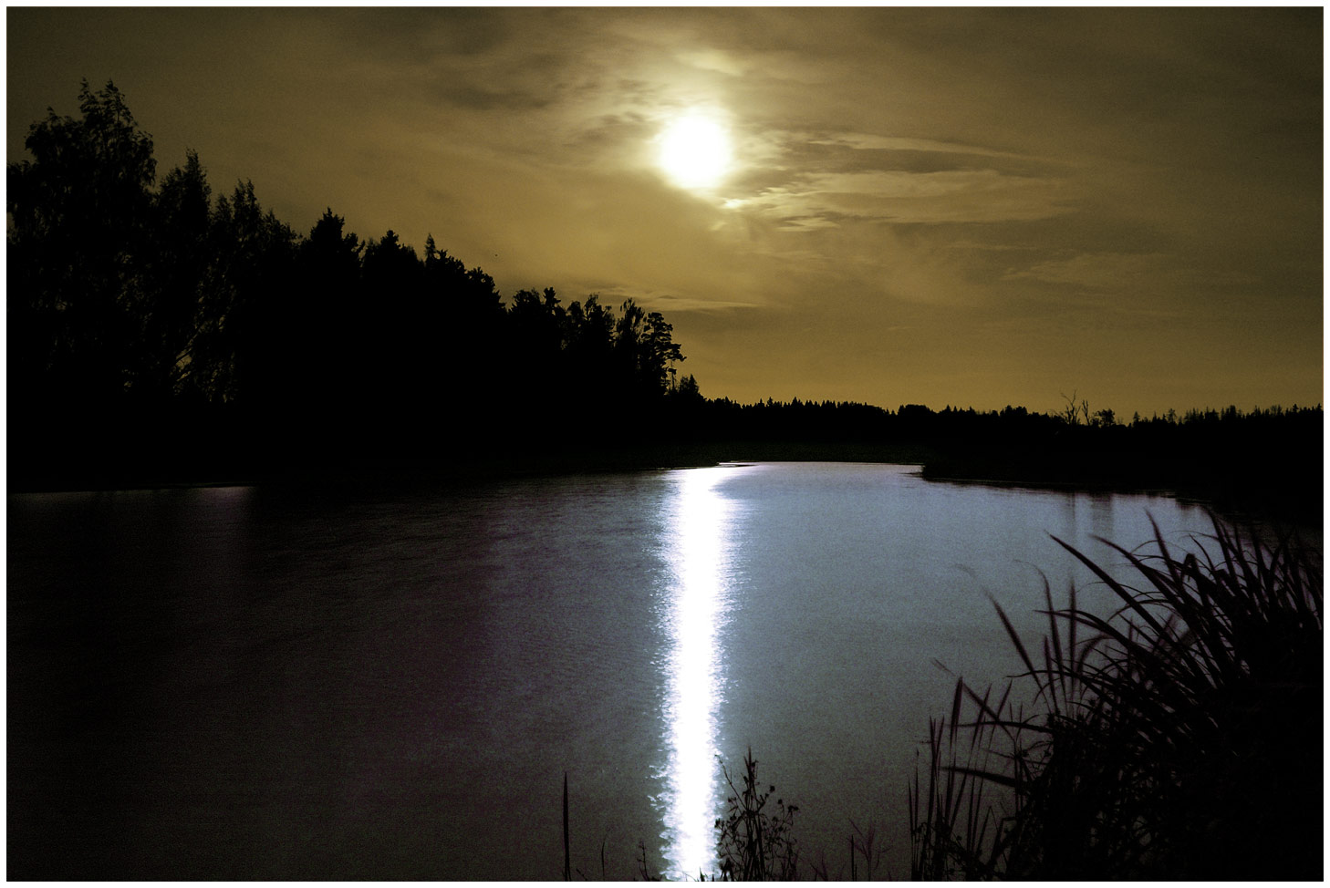 SUMMER NIGHT
