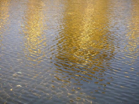 золотые волны