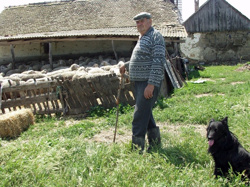 Хозяин №1