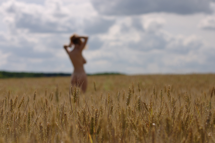 В пшенице