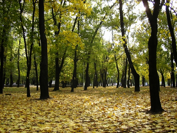 осень