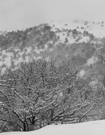 Зимний этюд №1