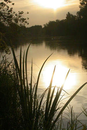 Время клева