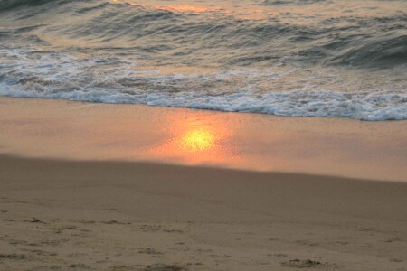 Золотая середина