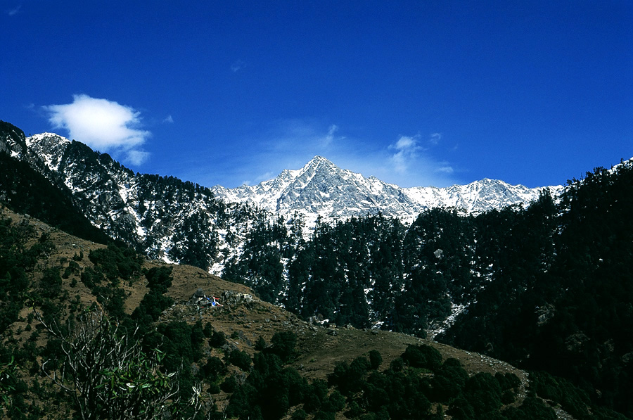 Triund