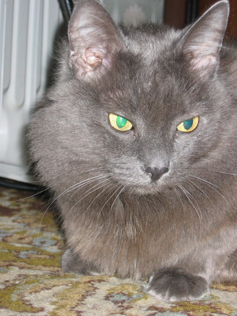 Кузьма