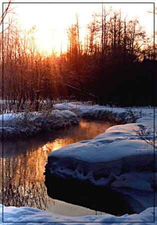 Золотая речка.