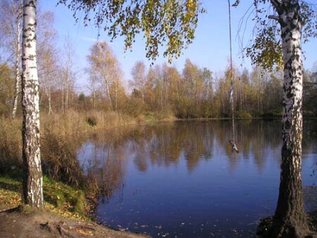 Осень в Подмосковье