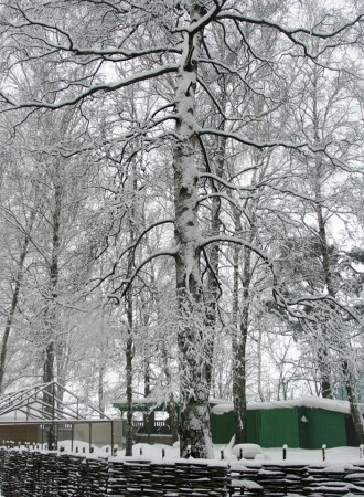 Последние снегопады...