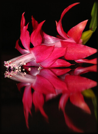 Законченная жизнь...