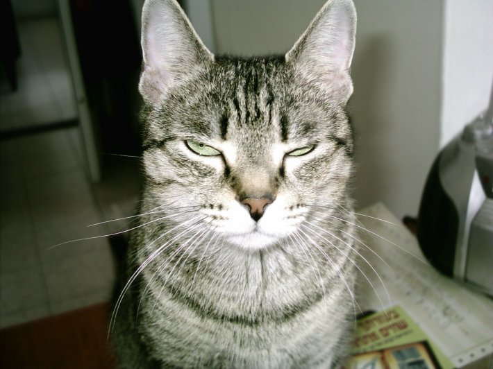 murka