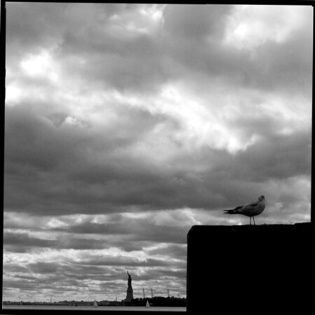 So are you free little french girl ?