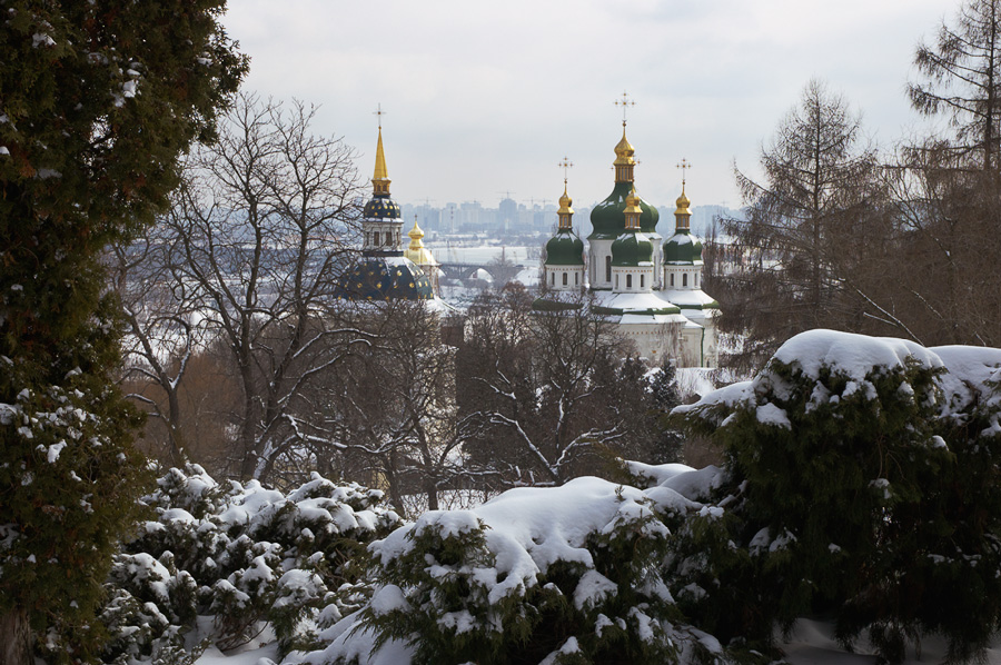 В Киев пришла весна. Вот такая!