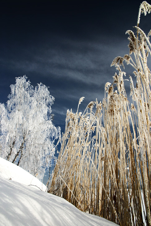 Февраль-3