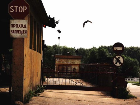 Только птицам