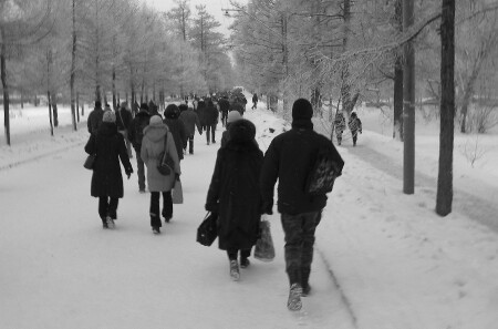 Дружно на учёбу.