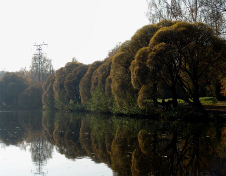 на берегу...