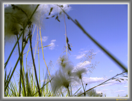 Земля и небо