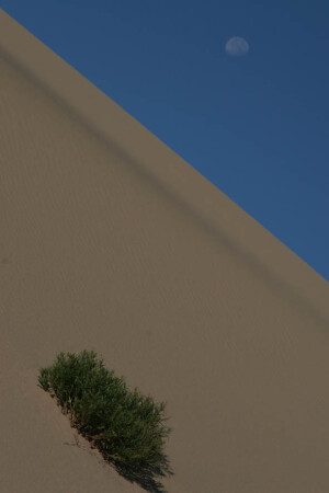 Одиночество