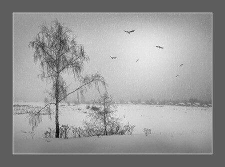 Вьётся Зима - не сдаётся