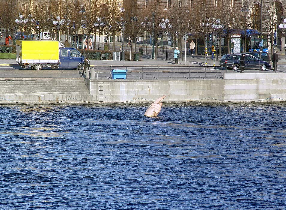 Водяной флюгер ;))