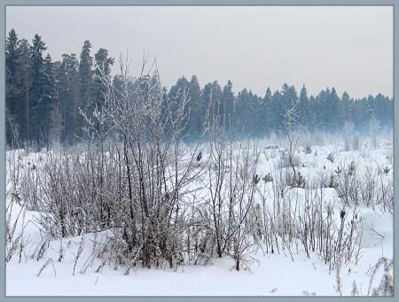 Раннее утро. Март. Заячьи поляны