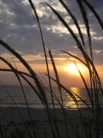 Cолнце Тарханкута