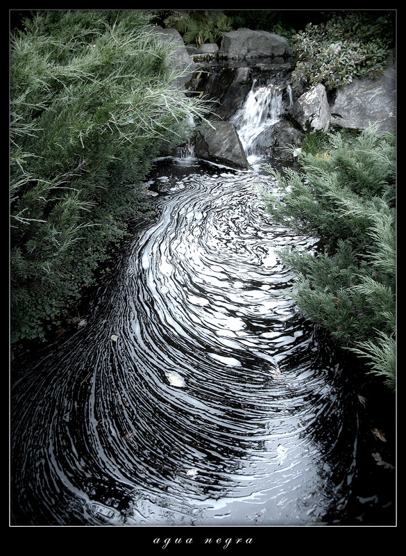 .agua negra.