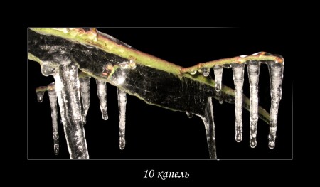10 капель