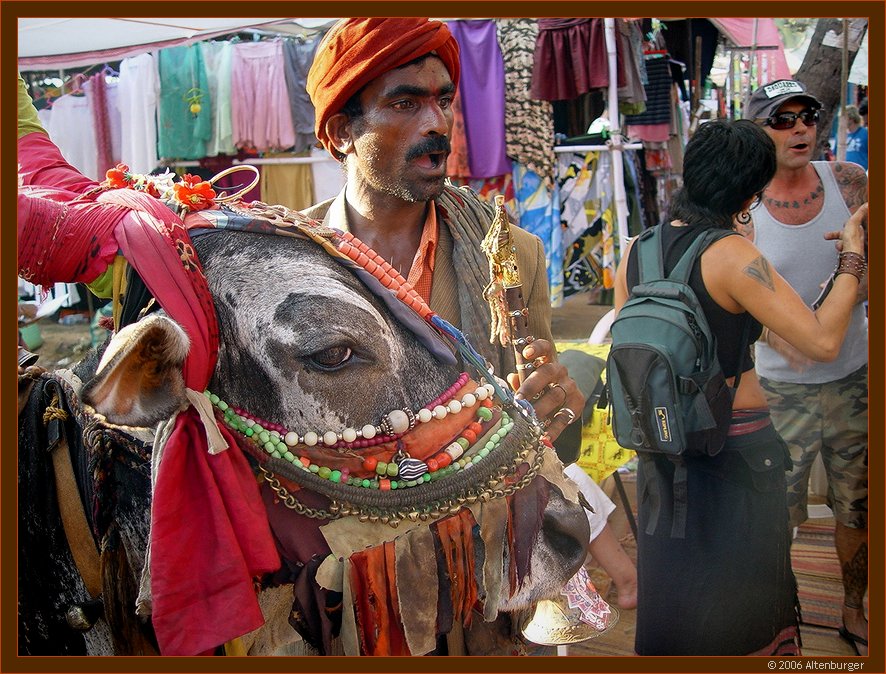 United colors of India (3)