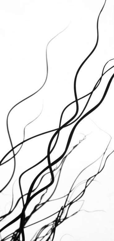 lifelines