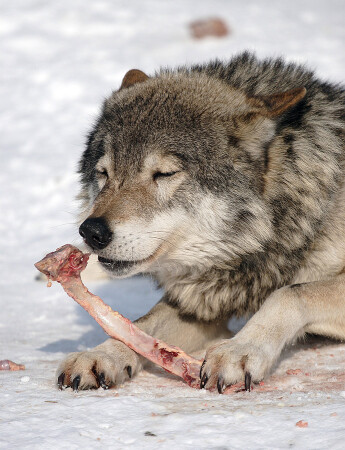 Хороший посетитель - свежий посетитель!!