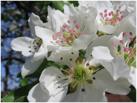 Палитра весны...