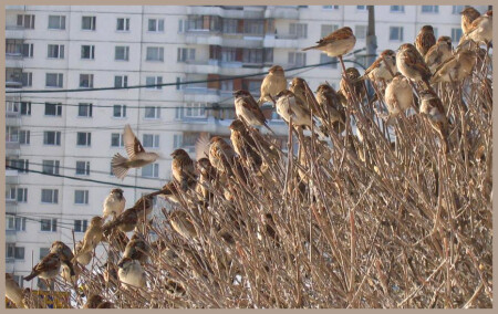 Навстречу солнцу