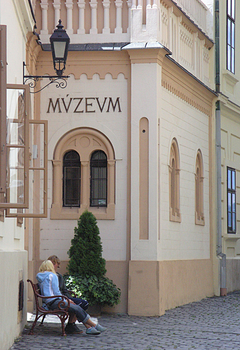 MVSEVM
