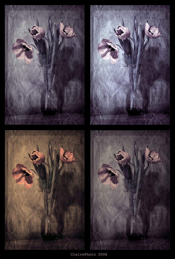 Still Life #2