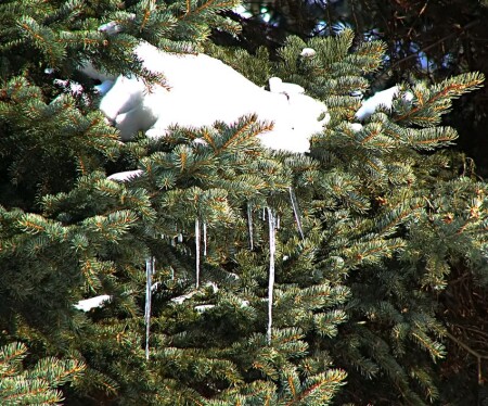 Елочные игрушки