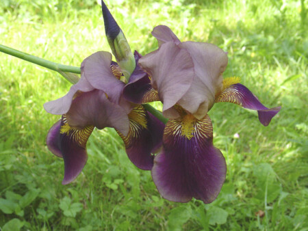 Хочется лета