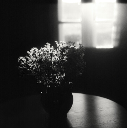 evening in the summer house