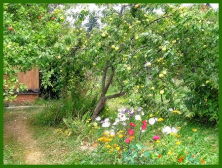 Воспоминания о лете