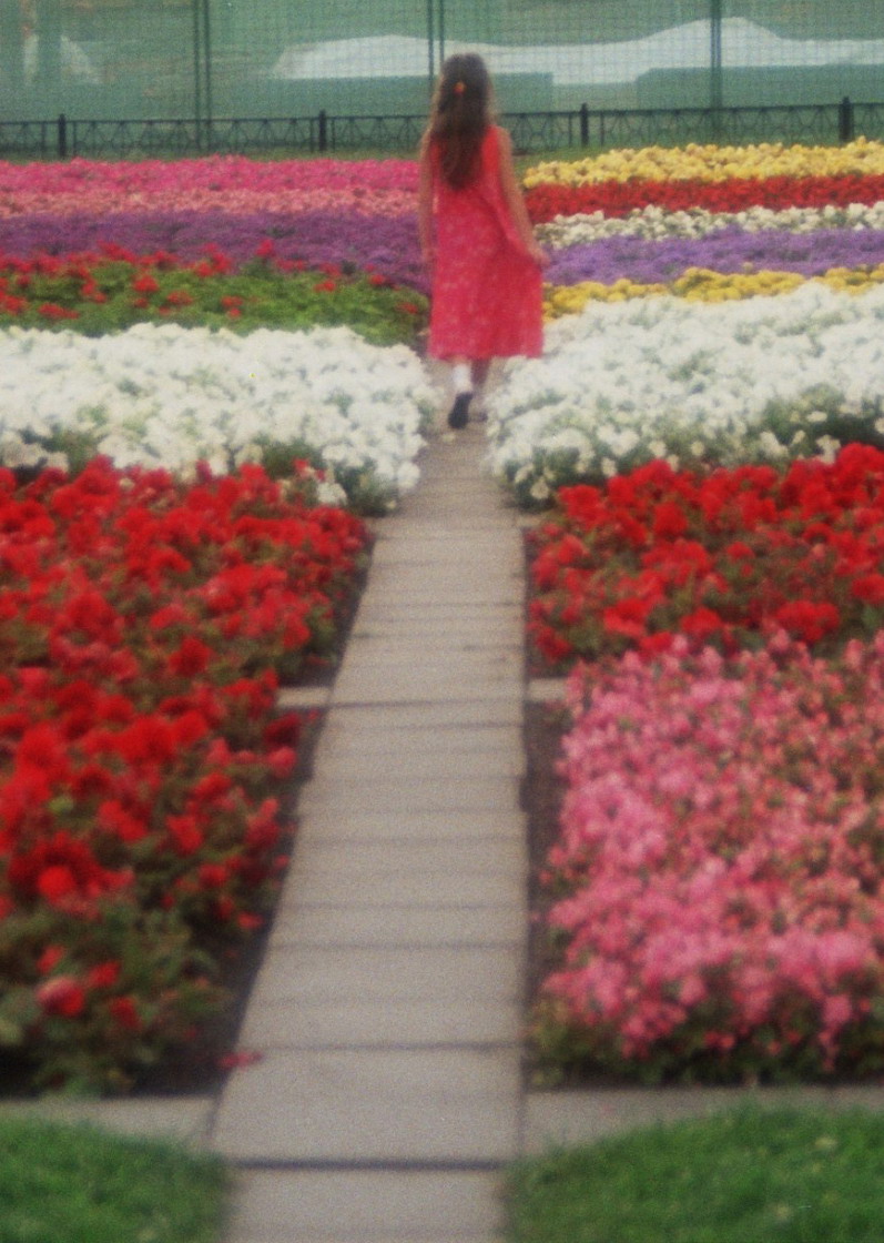 alice in wonderland