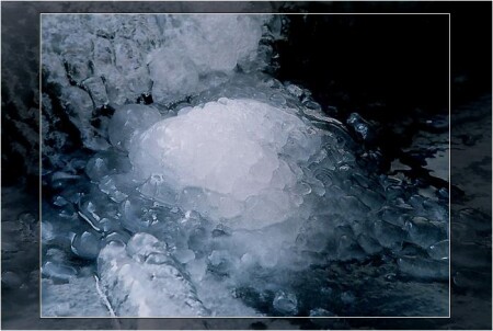 Ледяная черепаха