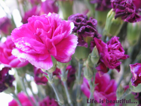 Life is beautiful